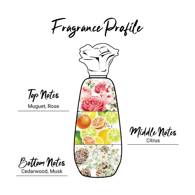 Enchanteur Perfume Lotion – Charming 250ml