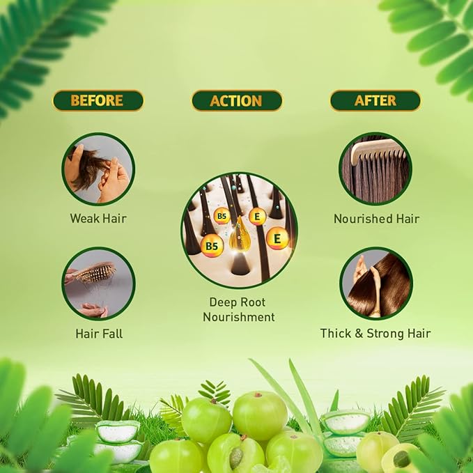 Dabur Amla - Advanced Hair Oil (270ml)